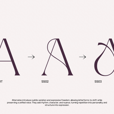 gc-adelite-stylish-chic-serif-glyphonic-5.png