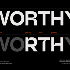 gc-akihiko-modern-precision-sans-glyphonic-6.png
