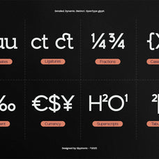 gc-allio-minimal-sans-mastery-glyphonic-12.jpg