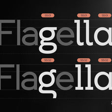 gc-allio-minimal-sans-mastery-glyphonic-8.jpg