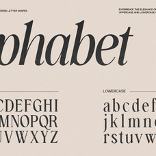 gc-amelie-promised-italic-serif-unknown-creator-12.png