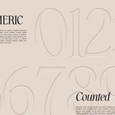 gc-amelie-promised-italic-serif-unknown-creator-13.png