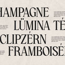 gc-amelie-promised-italic-serif-unknown-creator-14.png