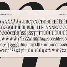 gc-amelie-promised-italic-serif-unknown-creator-15.png