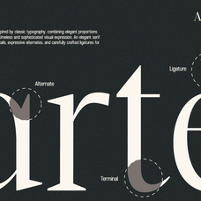 gc-auretha-modern-luxury-serif-glyphonic-5.png