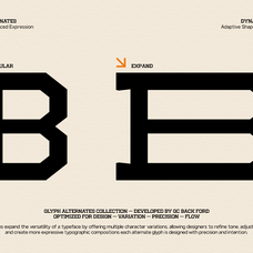 gc-back-ford-urban-slab-typeface-glyphonic-11.png