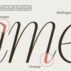 gc-ballerina-stylish-serif-italic-glyphonic-6.png