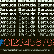 gc-barcuda-new-modern-sans-glyphonic-9.png