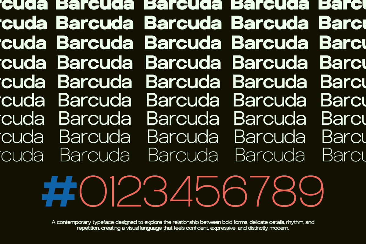 gc-barcuda-new-modern-sans-glyphonic-9.png