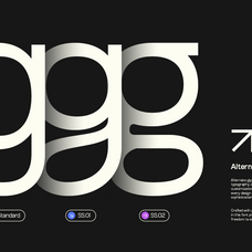 gc-bargain-v20-modern-sans-family-unknown-creator-11.png