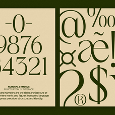 gc-begia-modern-luxury-typeface-glyphonic-8.png