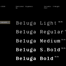 gc-beluga-mono-elegant-modern-mono-glyphonic-3.png
