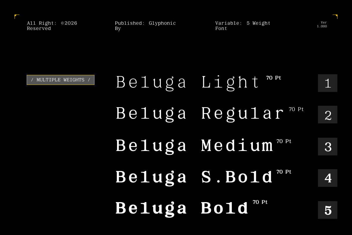 gc-beluga-mono-elegant-modern-mono-glyphonic-3.png