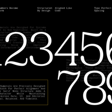 gc-beluga-mono-elegant-modern-mono-glyphonic-4.png