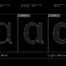 gc-beluga-mono-elegant-modern-mono-glyphonic-5.png