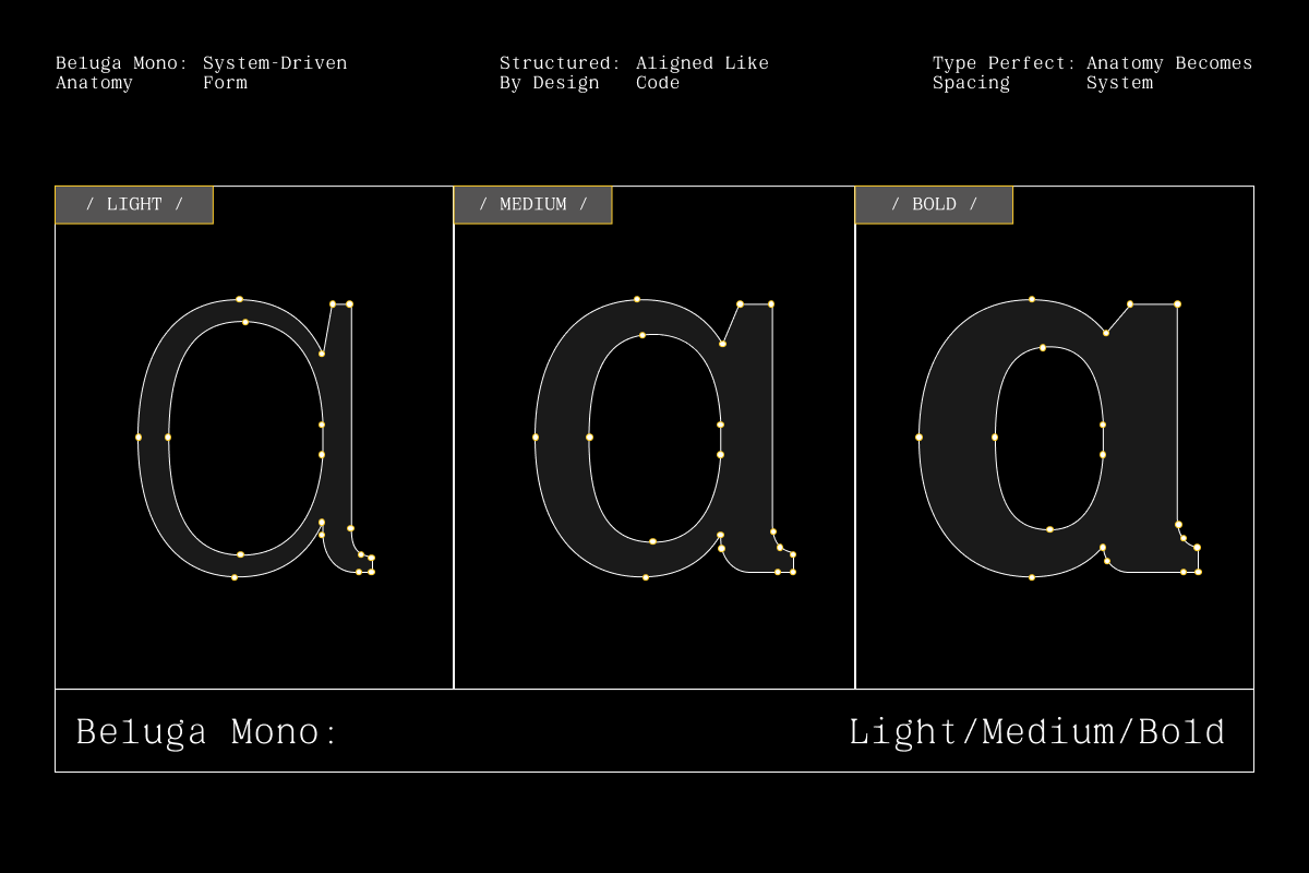 gc-beluga-mono-elegant-modern-mono-glyphonic-5.png