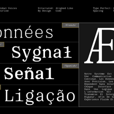 gc-beluga-mono-elegant-modern-mono-glyphonic-6.png