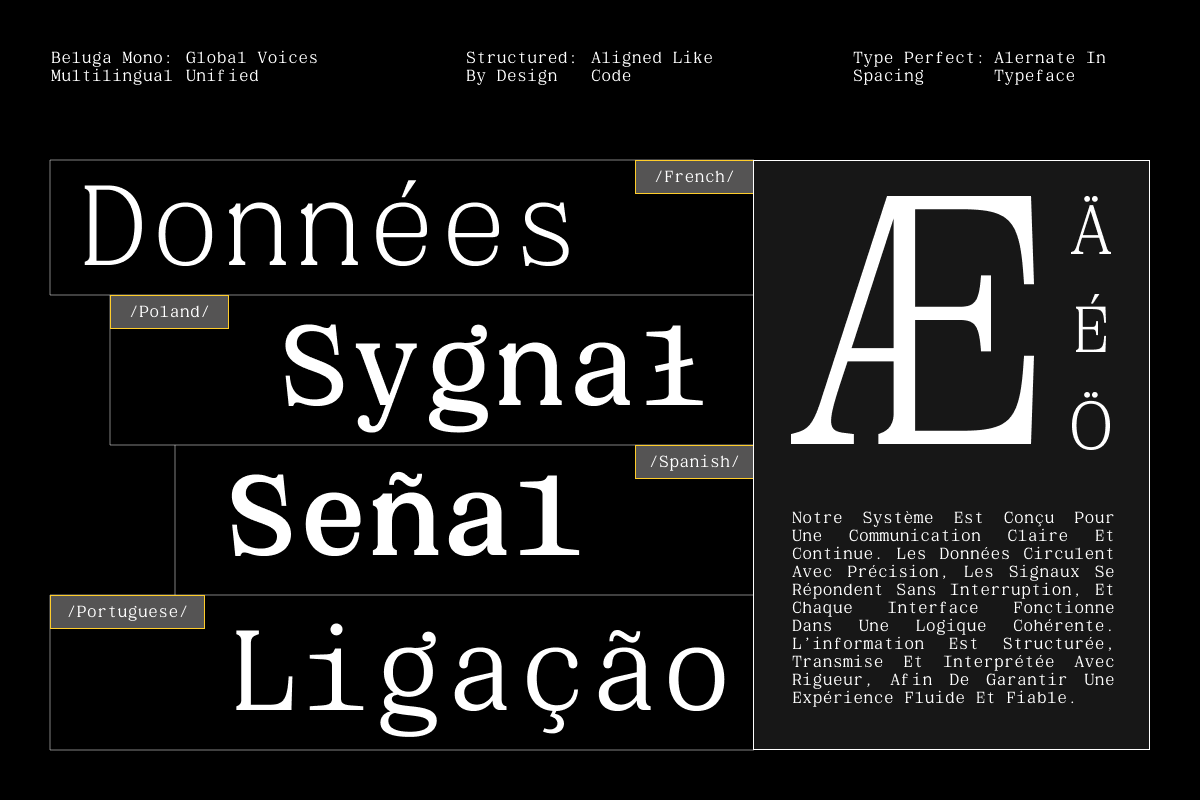 gc-beluga-mono-elegant-modern-mono-glyphonic-6.png