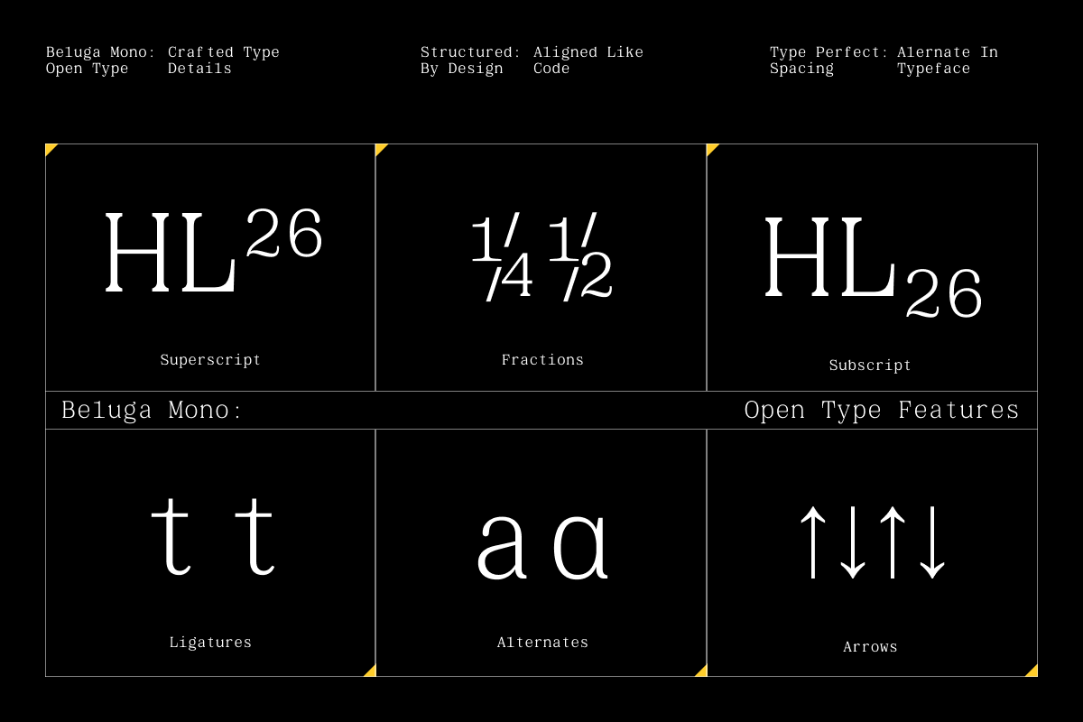 gc-beluga-mono-elegant-modern-mono-glyphonic-7.png