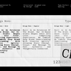 gc-beluga-mono-elegant-modern-mono-glyphonic-9.png