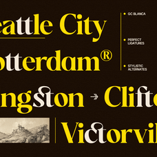 gc-blanca-serif-elegant-character-glyphonic-14.png