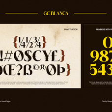 gc-blanca-serif-elegant-character-glyphonic-9.png
