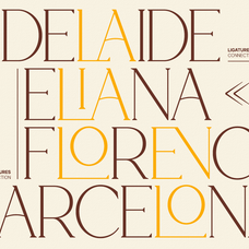 gc-cheline-modern-elegant-serif-glyphonic-14.png