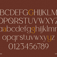 gc-cheline-modern-elegant-serif-glyphonic-2.png