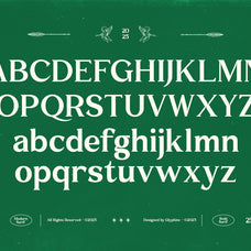 gc-commune-modern-inktrap-serif-glyphonic-2.jpg