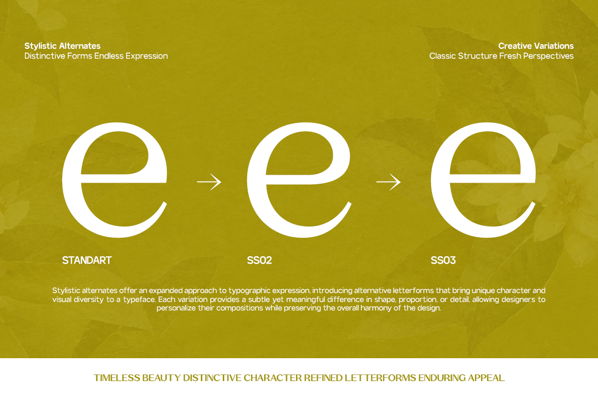 GC Commune vol.2 - Versatile Typeface by Glyphonic, preview 13