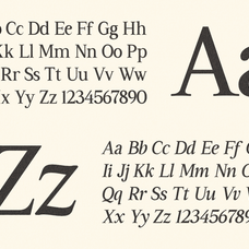 gc-driver-company-serif-italic-unknown-creator-16.png