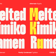 gc-heronium-family-condensed-sans-glyphonic-8.png