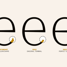 gc-marone-elegant-essential-serif-glyphonic-12.png