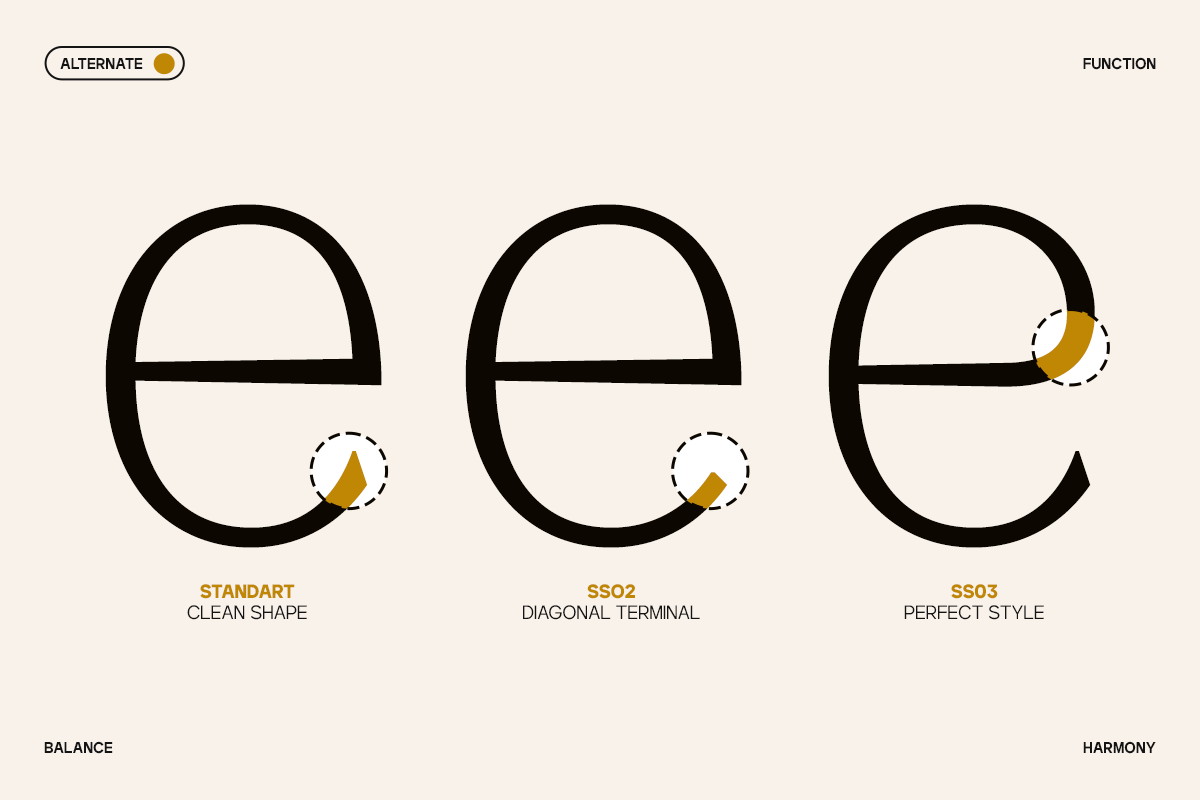 gc-marone-elegant-essential-serif-glyphonic-12.png