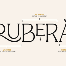 gc-marone-elegant-essential-serif-glyphonic-5.png