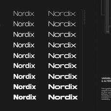 gc-nordix-bold-geometry-type-glyphonic-2.png