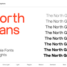 gc-north-sans-neo-modern-sans-glyphonic-3.png