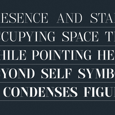 gc-pregio-clean-serif-typeface-glyphonic-12.png