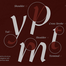 gc-prometheus-serif-family-unknown-creator-4.png