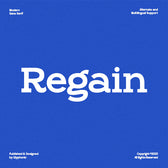 GC Regain - Display Bold Slab Serif
