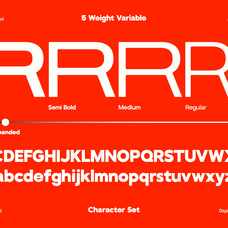 gc-roxane-modern-display-condensed-glyphonic-4.png