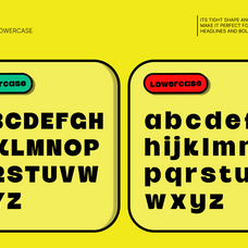 gc-skined-bold-condensed-display-glyphonic-2.png