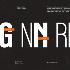 gc-sublime-modern-condensed-sans-glyphonic-11.png
