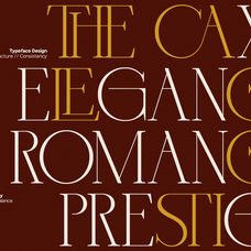 gc-trench-vogue-chic-elegant-serif-glyphonic-10.png