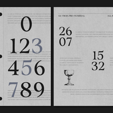 gc-troja-pro-classic-retro-serif-glyphonic-3.png