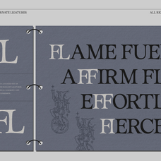 gc-troja-pro-classic-retro-serif-glyphonic-8.png