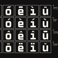 gc-vensca-mono-modern-monospace-glyphonic-12.png