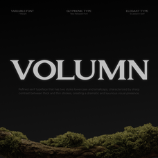 gc-volumn-elegant-serif-typeface-glyphonic-1.png