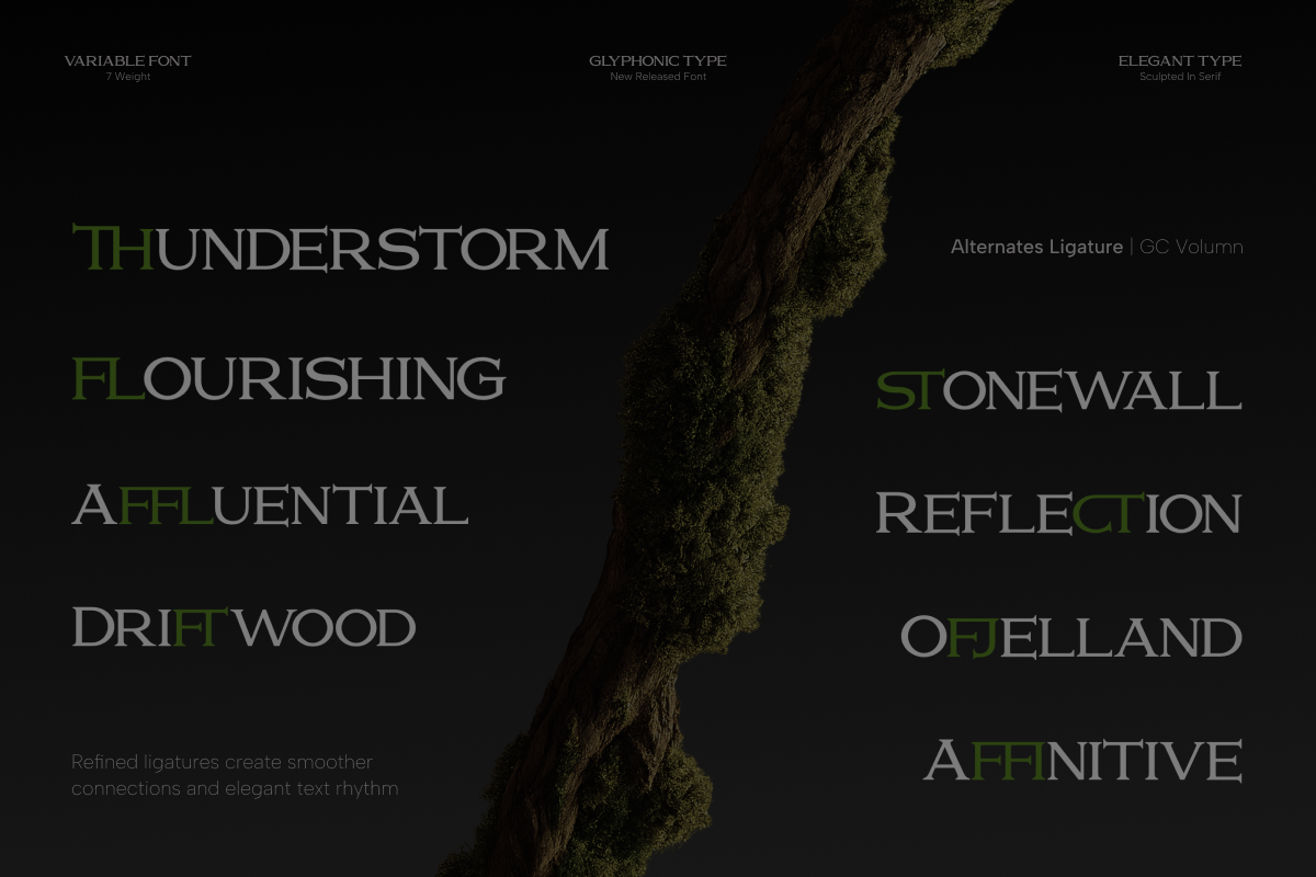 gc-volumn-elegant-serif-typeface-glyphonic-4.png