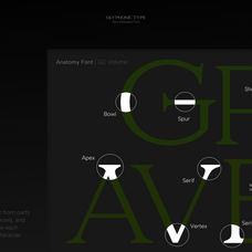 gc-volumn-elegant-serif-typeface-glyphonic-5.png